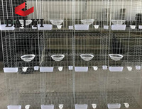 Blanc et Gris Colombe Cage Bon Marché Cage À Vendre (Fabriqué En Chine, Bonne Qualité)