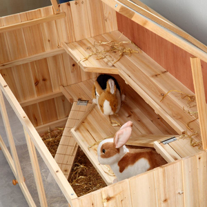 <span class=keywords><strong>Cage</strong></span> de <span class=keywords><strong>Hamster</strong></span> en bois pour animaux domestiques, petit Animal, lapin, <span class=keywords><strong>Hamster</strong></span>