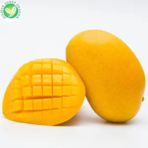 IQF – vente en gros de pulpe de fruits en vrac, mangue de mousqueton congelée au meilleur prix