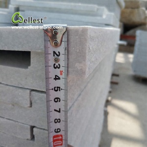 Vente flash : <span class=keywords><strong>dalle</strong></span> de <span class=keywords><strong>terrasse</strong></span> de piscine en <span class=keywords><strong>granit</strong></span> blanc pur, bord carré, 60 - Product Image 5