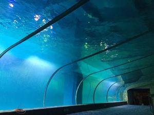 <span class=keywords><strong>Aquarium</strong></span> <span class=keywords><strong>Aquarium</strong></span> Professionele Fabrikant Cilinder Vorm Acryl Glas Aquaria & Accessoires Plastic Duurzame 1.2G/Cm3 - Product Image 4