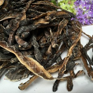 गर्म बिक्री थोक सूखे केंचुए बिक्री के लिए केंचुआ प्रोटीन कच्चा माल - Product Image 2