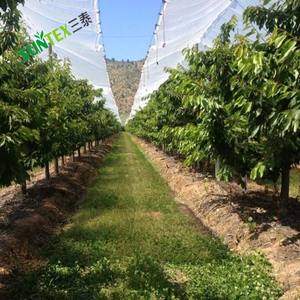 Serre clip en plastique <span class=keywords><strong>pour</strong></span> la <span class=keywords><strong>fixation</strong></span> <span class=keywords><strong>de</strong></span> l'ombre net pare-soleil net clip ombre tissu fix <span class=keywords><strong>pince</strong></span> - Product Image 5