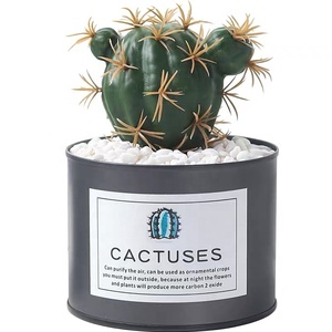Mini <span class=keywords><strong>pot</strong></span> à plantes en acier inoxydable, personnalisé, en métal, vente en gros - Product Image 1