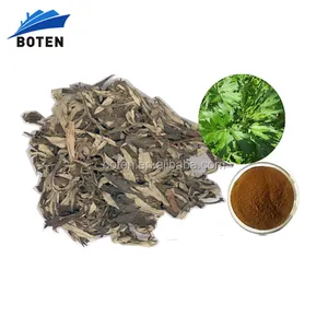 Supply Low Price Wormwood Leaf Extract Powder 4:1