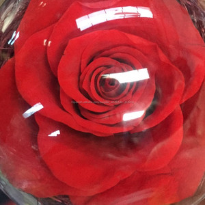 2018 al por mayor de calidad superior real natural preservado fresco duradero rosas - Product Image 2