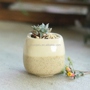 <span class=keywords><strong>Mini</strong></span> Pots <span class=keywords><strong>de</strong></span> fleurs artificielles en céramique, Pots pour plantes, vente en gros, 7 pièces - Product Image 2