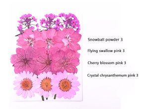Prensa de decoración barata, venta al por mayor, <span class=keywords><strong>flores</strong></span> de pétalos secos, flor seca conservante Diy hecha profesionalmente - Product Image 2