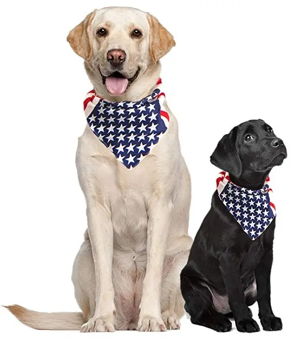 Vacaciones triángulo impreso bandera americana perro Bandana personalizada aseo Pet Bandana perro