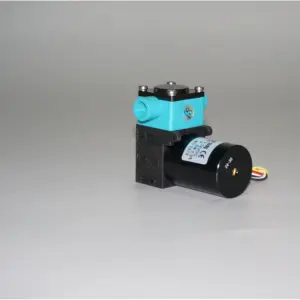 Borstelloze Dc Mini Membraanpompen 12 V 24 V Micro Waterpomp