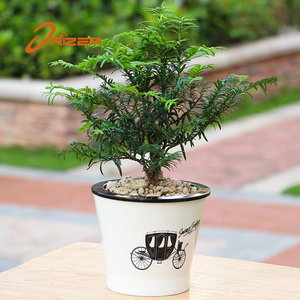 Decorativo imitación blanco cerámica jardineras platos jardín macetas con patrón interesante - Product Image 1