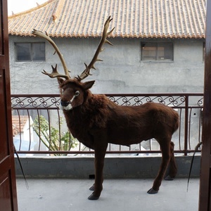 Décorations de Noël de cour de cerf grandeur nature renne Navidad modèle de cerf debout réaliste - Product Image 2