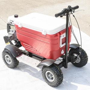 Factory Direct Sale <strong>Motorises</strong> Cooler Box Rideable Cooler <strong>Scooter</strong> for Picnic - Product Image 2