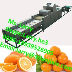 Máquina de processamento de citrus/máquina de classificação de frutas citrus/máquina de classificação de citrus