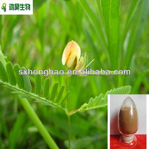 superior calidad de cassia nomame extracto de la semilla - Product Image 1