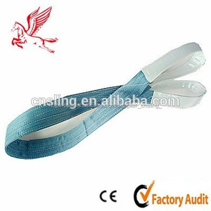 ce 2014 nueva costumbre los ojos plana de poliéster pesado deber <span class=keywords><strong>web</strong></span> eslingas - Product Image 6