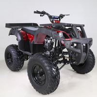 Quad Bike Automatique en Acier Tao Motor 250cc, VTT 250cc 4x4 pour Adulte, Démarrage Électrique, VTT 125cc, Transmission par Chaîne, Frein à Disque Arrière