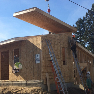 Sips <span class=keywords><strong>Sandwich</strong></span> <span class=keywords><strong>Panel</strong></span> <span class=keywords><strong>OSB</strong></span> resistente al agua con superficie terminada Flakeboards Categoría de producto - Product Image 3