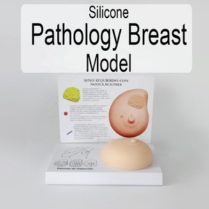환자 교육용 부드러운 실리콘 유방 검사 해부학 모형 - Product Image 2