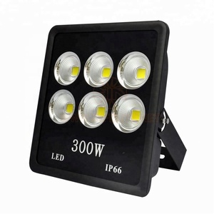 Reflector LED Cob Ip64 <span class=keywords><strong>de</strong></span> 50w 200w 300w 400w 500w 24 voltios para Caminos, Publicidad, Campos <span class=keywords><strong>de</strong></span> Fútbol, Hoteles, Jardines, 100w - Product Image 2