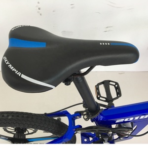 <span class=keywords><strong>20</strong></span> <span class=keywords><strong>POUCES</strong></span> DE QUALITÉ SUPÉRIEURE OPC ROUE Vtt avec 21 vitesses (FP-AFB18001) - Product Image 4