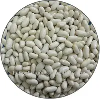 2016 자르기 콩/콩/Baishake 백색 신장 콩