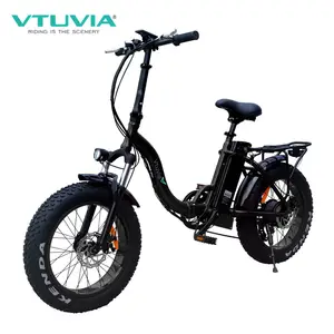 20 inch fat tire folding electric bike 36V 48v 250w 750W e bicycle long range city fatbike for american market