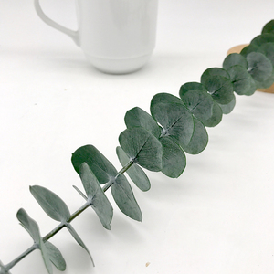 คุณภาพสูงแห้งใบ <span class=keywords><strong>eucalyptus</strong></span> ที่เก็บรักษาไว้สำหรับตกแต่ง - Product Image 6