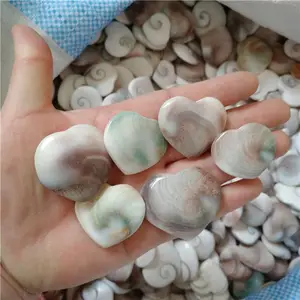 Natural sun conch fossil hearts shapes conch stones for wedding favor