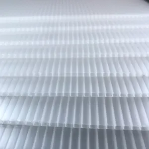 2mm 3mm 4mm 5mm 6mm 8mm Polypropylene Corrugated Plastic Alveolar Sheet