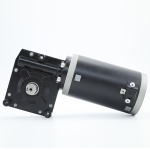 Moteur de déplacement de <span class=keywords><strong>caravane</strong></span> PMDC à engrenage sans fin 12v24v - Product Image 6