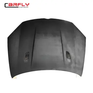Fiber Glass Hood for VW Golf5 MK5 with Vent and Paint