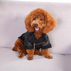 Wholesale Cute <strong>Leather</strong> Pet <strong>Dog</strong> Clothes,<strong>leather</strong> <strong>Jacket</strong> Style <strong>Dog</strong> Clothes,pet Puppy <strong>Dog</strong> Clothes Cartoon Animal Sustainable 25-35cm - Product Image 3