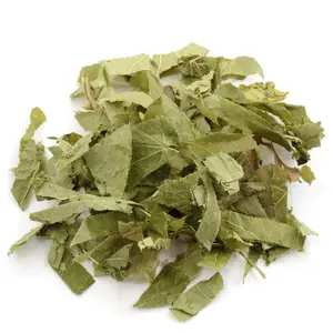 Herba Epimedii Icariin1 %-98% pflanzenextrakt Epimedium Extrakt Horny Goat Extrakt