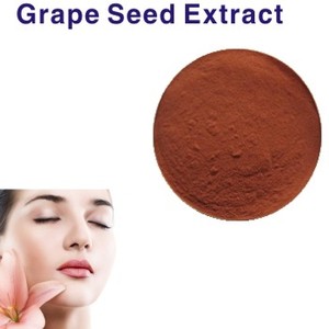 Extracto orgánico belleza Extracto <span class=keywords><strong>de</strong></span> semilla <span class=keywords><strong>de</strong></span> <span class=keywords><strong>uva</strong></span> proanthocyanin polvo - Product Image 1