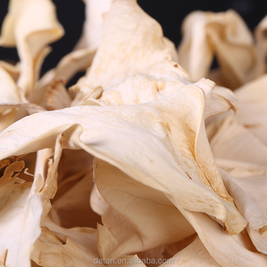 Detan Séché <span class=keywords><strong>Pleurotus</strong></span> <span class=keywords><strong>Eryngii</strong></span> - Product Image 3