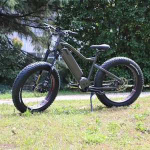 성인 지방 타이어 산 Ebike 1000W Bafang 미드 드라이브 전기 산악 자전거