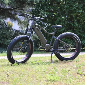 Adult Fat Tire Mountain Ebike 1000W Bafang Motor Mid Drive Elektrisches Mountainbike