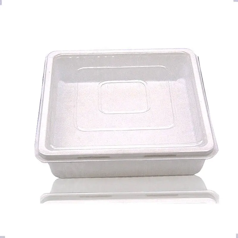Großhandel Einweg Kunststoff Lunch Box Food Trays mit Deckel