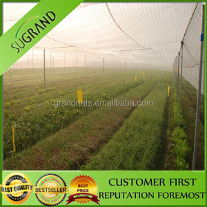 Redes de captura de aves, fruta cubierta de la red - Product Image 1