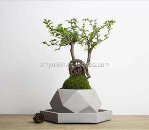 Stampo in <span class=keywords><strong>Silicone</strong></span> per Fioriera Quadrata/a Cuore Bianca Ecologica 11*5,5cm, Facile da Sformare, per Prodotti Domestici - Product Image 2