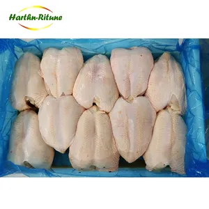 Filetes de pechuga de pollo halal sin piel, congelados, buena calidad, precio bajo