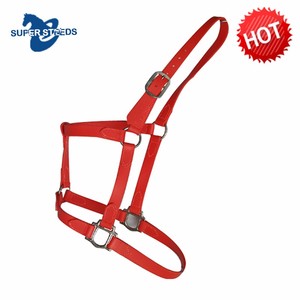 Colorida impermeable de nylon caballo ecuestre Halter con hebilla de latón - Product Image 4