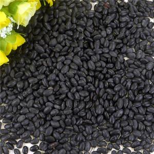 Frijoles Negros Pequeños, Frijoles Negros Tipo Riñón - Product Image 5