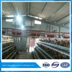 Dar es salaam tanzania <span class=keywords><strong>granja</strong></span> avícola mejor venta de pollo jaula - Product Image 4