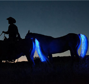 USB נטענת Led סוס זנב אורות לרכיבה - Product Image 3
