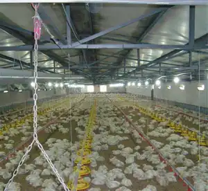 name of poultry farms with broiler chicken machine