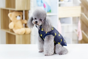 Nouveauté 2022 Vêtements pour <span class=keywords><strong>chien</strong></span> Manteau Hiver Mode tendance Automne Chaud Vêtements pour gros chiens Accessoires pour animaux de compagnie Teddy Dogie Vestes - Product Image 5