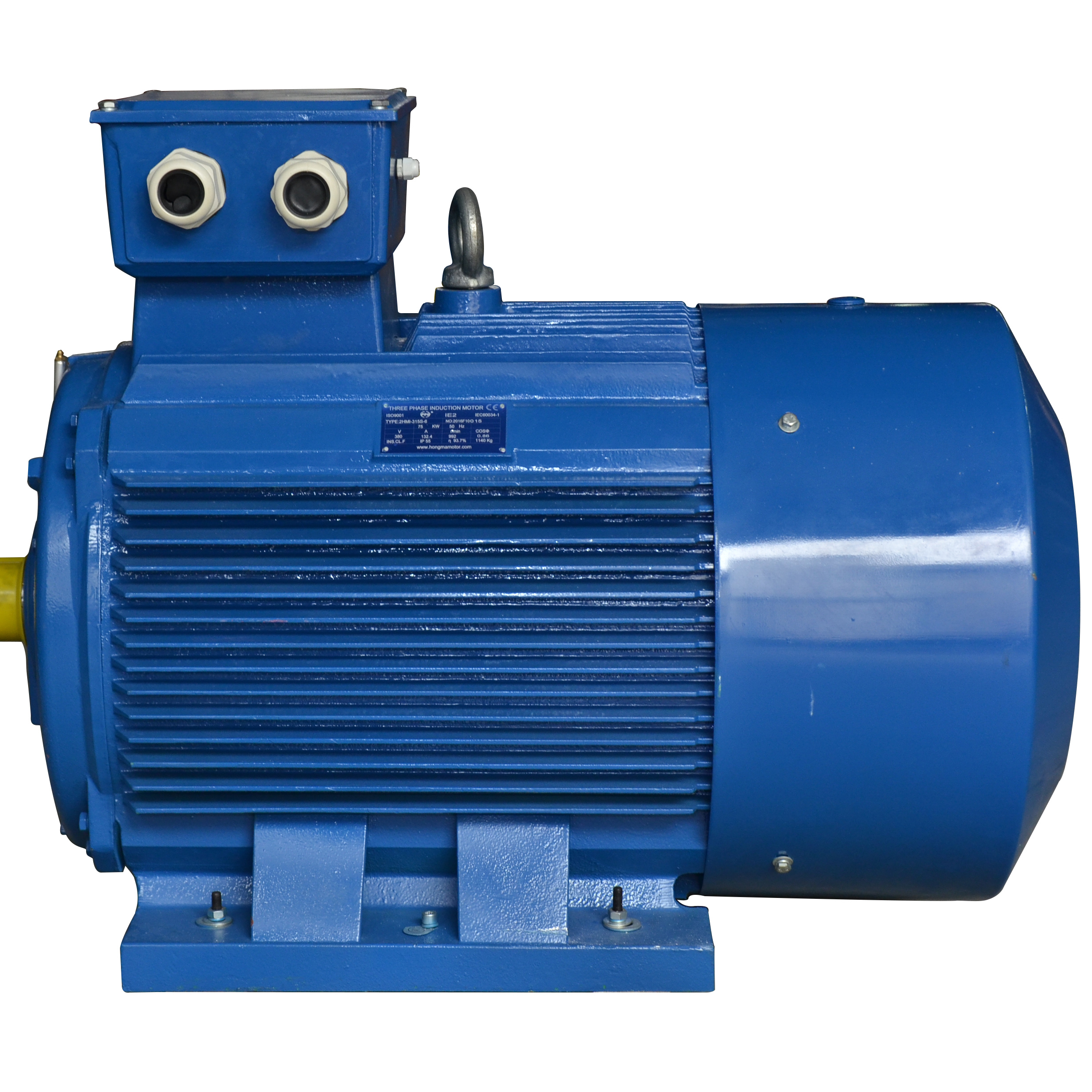Горячая Распродажа YE3 75KW 100HP Электрический 3-трехфазный асинхронный двигатель переменного тока Американская классификация проводов 2р