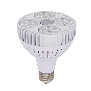 酒店和珠宝店装饰 led 灯泡灯 30 w E27 基座 led par 灯